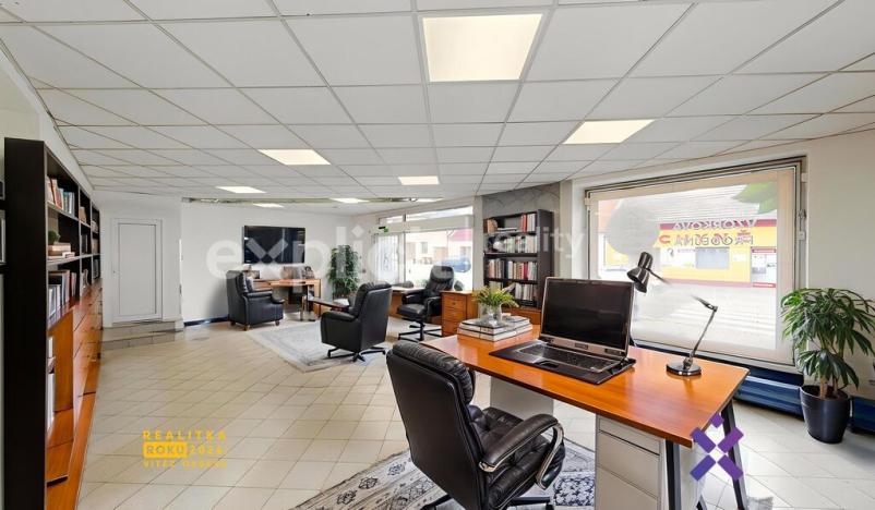 Pronájem obchodního prostoru, Staré Město, Brněnská, 387 m2