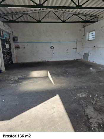 Pronájem skladu, Opava - Předměstí, Těšínská, 8925 m2