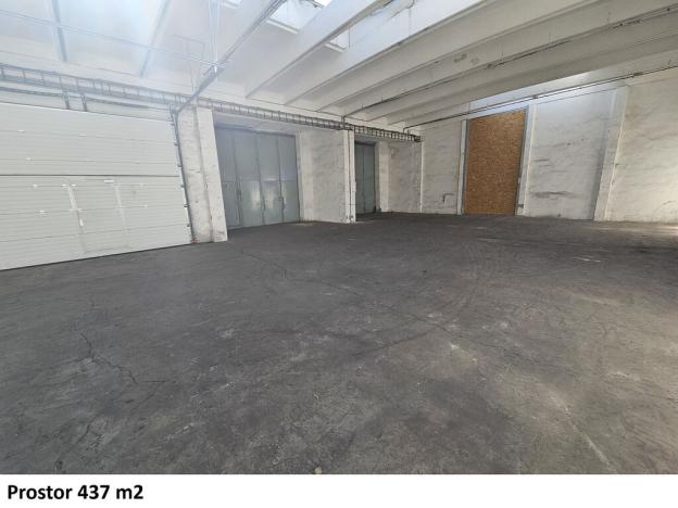 Pronájem skladu, Opava - Předměstí, Těšínská, 8925 m2