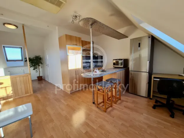 Pronájem bytu 2+kk, Bílovice nad Svitavou, Lesní, 54 m2