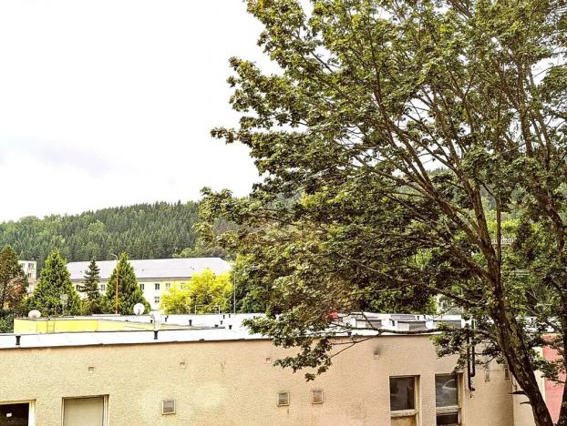 Prodej bytu 1+kk, Kraslice, B. Smetany, 22 m2