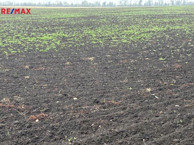 Prodej pole, Vrbovec, 14681 m2