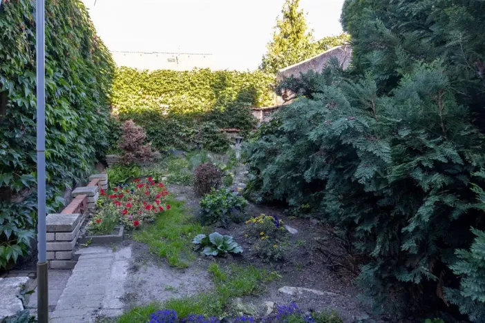 Prodej rodinného domu, Pchery - Humny, Husova, 180 m2