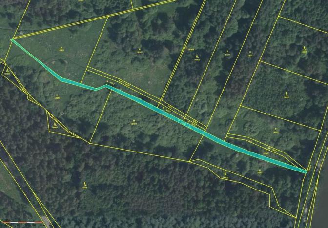 Prodej louky, Petříkov - Těšínov, 1557 m2