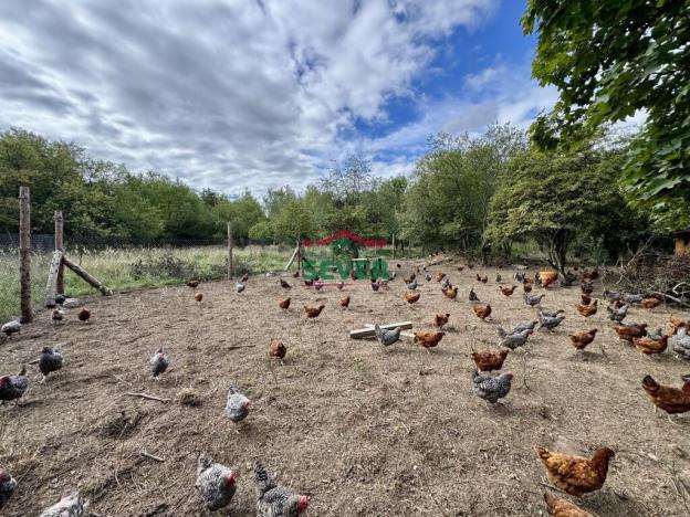 Prodej komerčního pozemku, Litvínov - Janov, Loupnická, 10231 m2