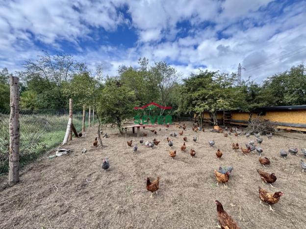 Prodej komerčního pozemku, Litvínov - Janov, Loupnická, 10231 m2