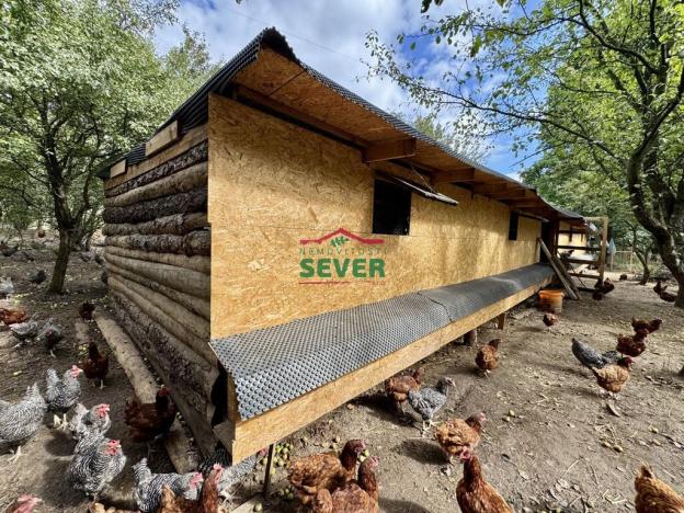 Prodej komerčního pozemku, Litvínov - Janov, Loupnická, 10231 m2