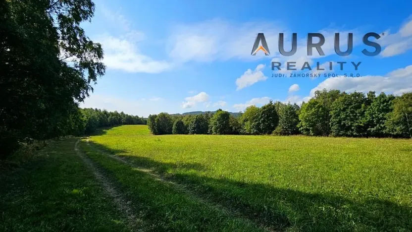 Prodej louky, Blatno, 34886 m2