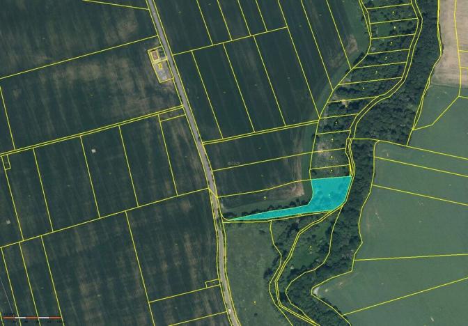 Prodej zahrady, Květnice, Lékořicová, 4623 m2