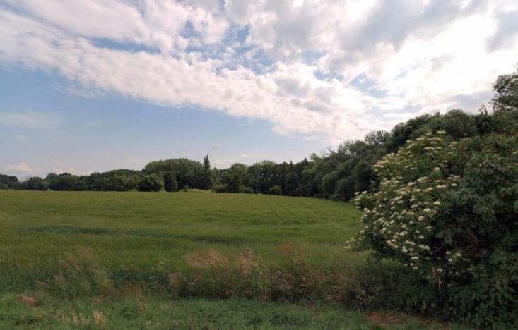 Prodej zahrady, Květnice, Lékořicová, 4623 m2