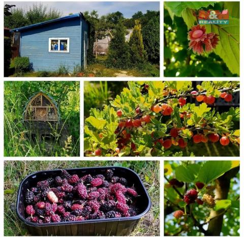 Prodej zahrady, Terezín, 489 m2