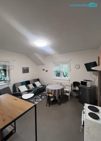 Pronájem bytu 1+kk, Teplá, Havlíčkova, 48 m2