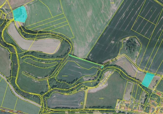 Prodej louky, Čejetice, 10822 m2