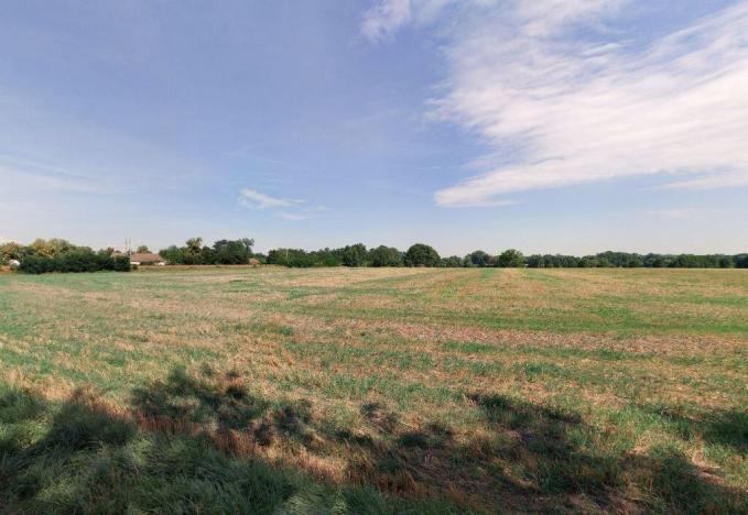 Prodej louky, Čejetice, 10822 m2