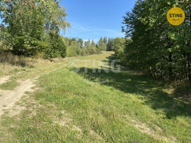 Prodej louky, Pavlov, 8429 m2