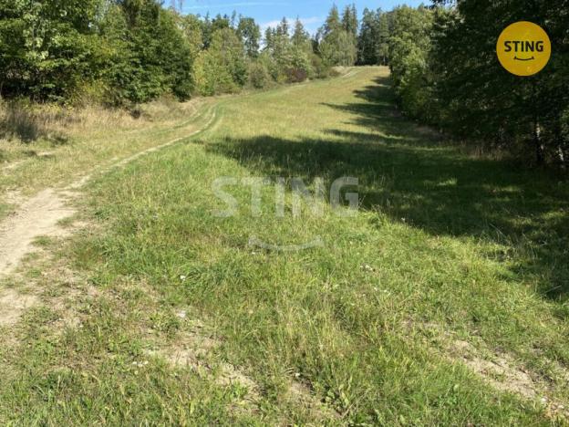 Prodej louky, Pavlov, 8429 m2