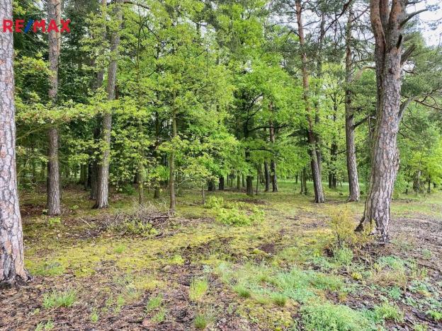 Prodej zemědělské usedlosti, Nezabudice, 410 m2