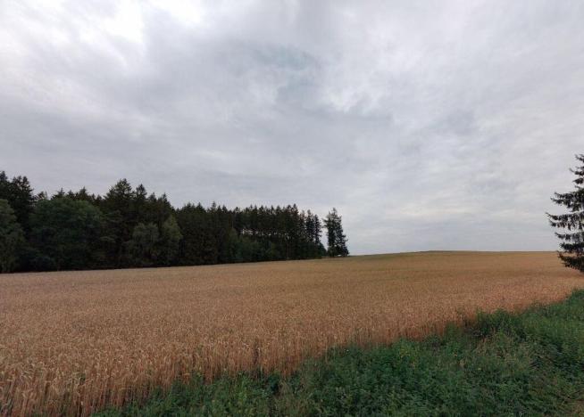 Prodej pole, Červený Újezd - Třetužel, 23308 m2