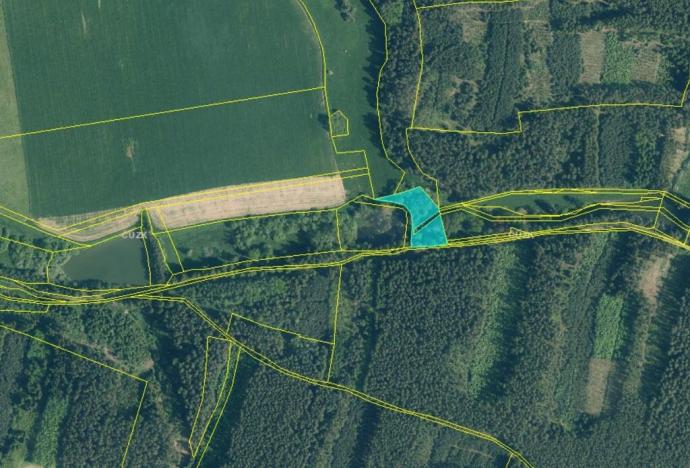 Prodej louky, Bor - Damnov, 2963 m2