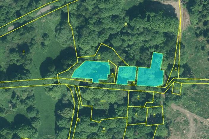 Prodej louky, Staré Sedliště - Labuť, 1713 m2