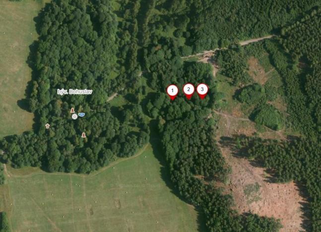 Prodej louky, Staré Sedliště - Labuť, 1713 m2