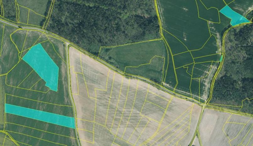 Prodej pole, Louňová, 53797 m2