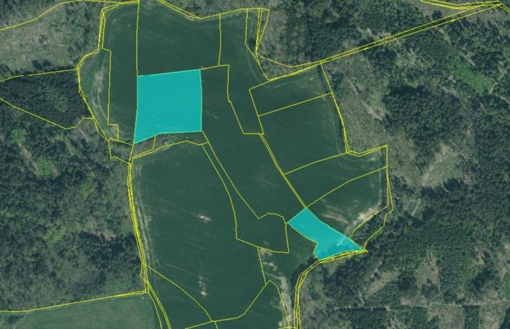 Prodej pole, Louňová, 53797 m2