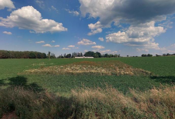 Prodej zahrady, Řepeč - Kášovice, 1434 m2