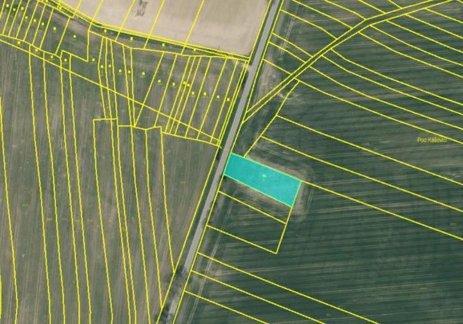 Prodej zahrady, Řepeč - Kášovice, 1434 m2