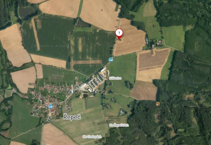 Prodej zahrady, Řepeč - Kášovice, 1434 m2