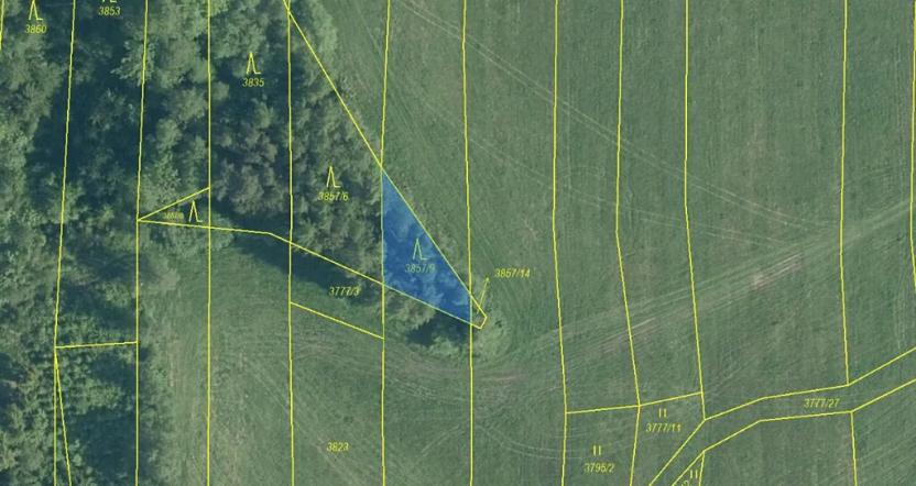 Prodej lesa, Ločenice, 5269 m2