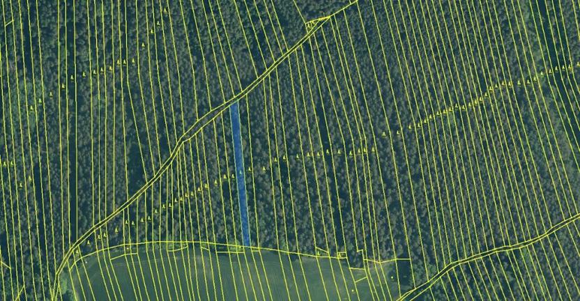 Prodej lesa, Ločenice, 5657 m2