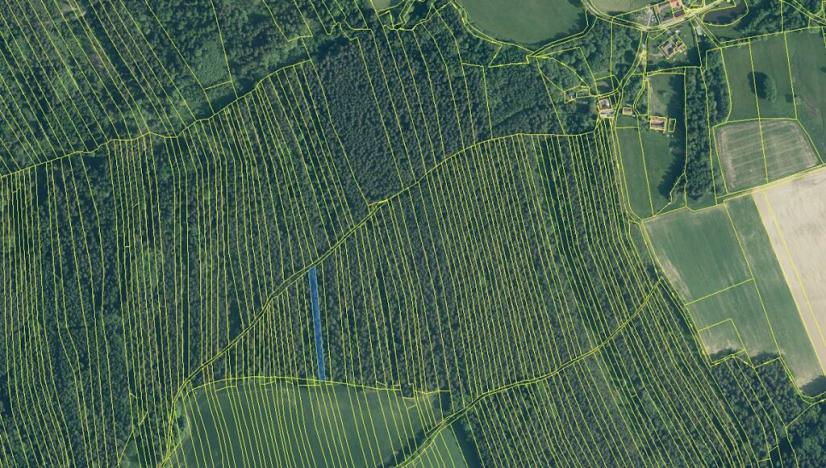 Prodej lesa, Ločenice, 5657 m2