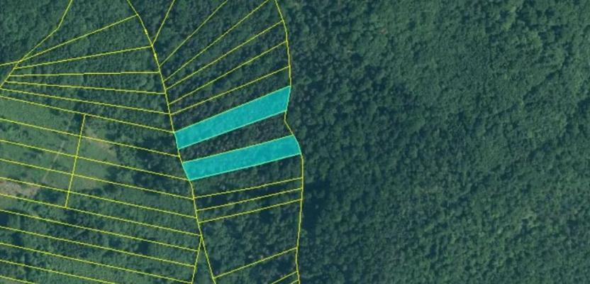 Prodej lesa, Rabí, 8758 m2