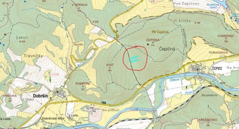 Prodej lesa, Rabí, 8758 m2