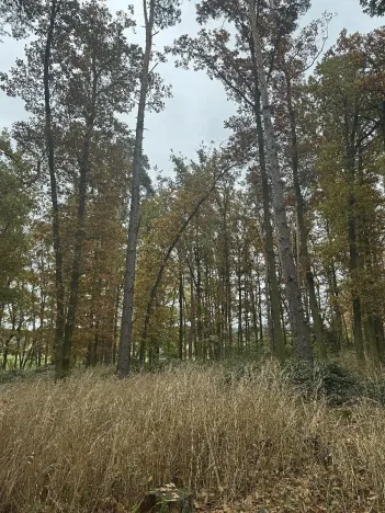 Prodej podílu pozemku, Dolní Lukavice, 43384 m2