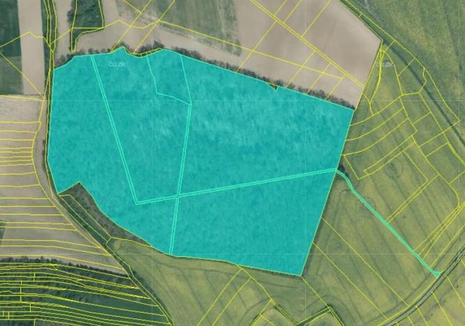 Prodej podílu pozemku, Dolní Lukavice, 43384 m2