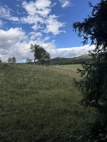 Prodej pozemku, Velké Svatoňovice, 10821 m2