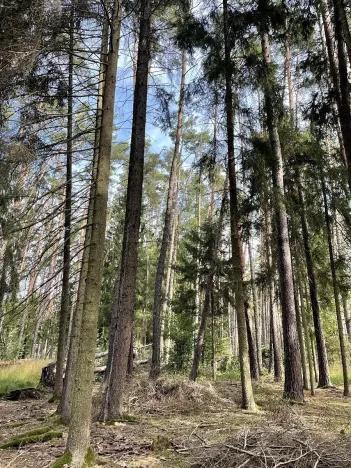 Prodej podílu pozemku, Velký Ratmírov, 3510 m2