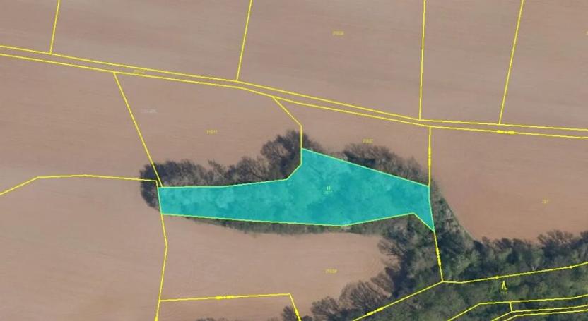 Prodej podílu pozemku, Nosálov, 3734 m2