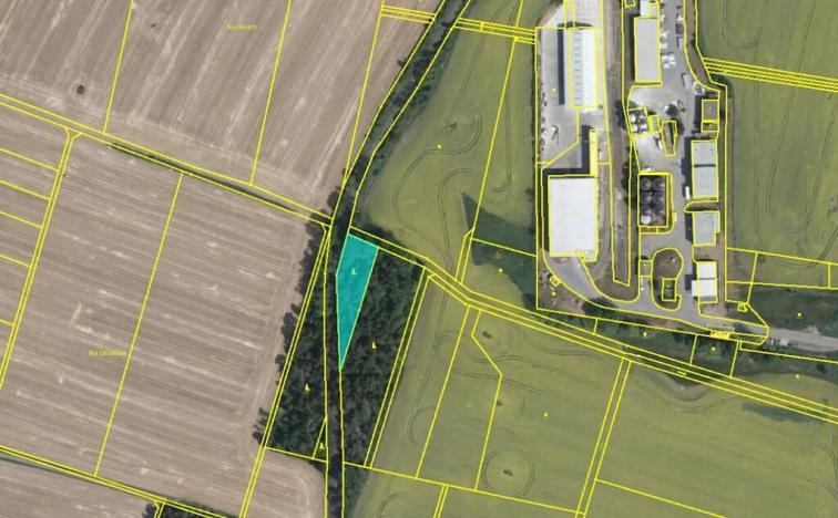 Prodej lesa, Sedlec, 1646 m2