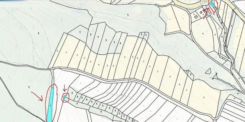 Prodej lesa, Zvole, 1730 m2