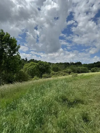 Prodej podílu pozemku, Suchdol, 9027 m2