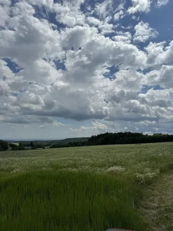 Prodej podílu pozemku, Suchdol, 9027 m2