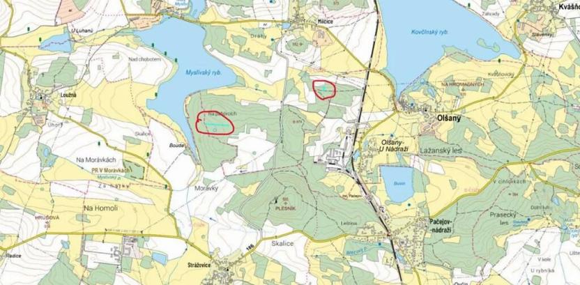 Prodej lesa, Myslív, 4556 m2