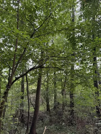 Prodej pozemku, Blíževedly, 2644 m2