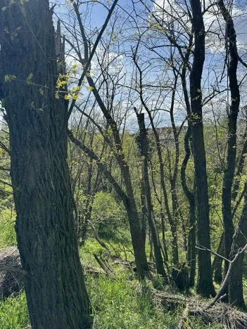 Prodej pozemku, Slavičky, 5511 m2