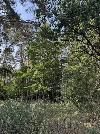 Prodej podílu pozemku, Hradiště, 3093 m2