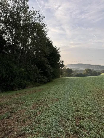 Prodej pozemku, Úštěk, 3584 m2