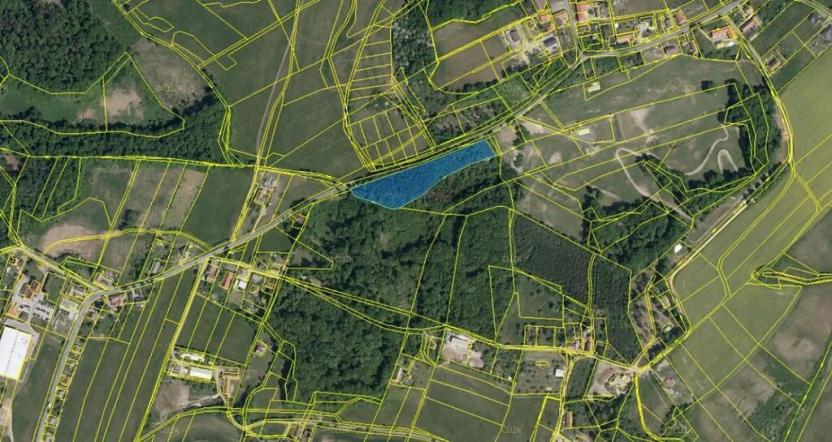 Prodej podílu lesa, Poběžovice u Holic, 4756 m2